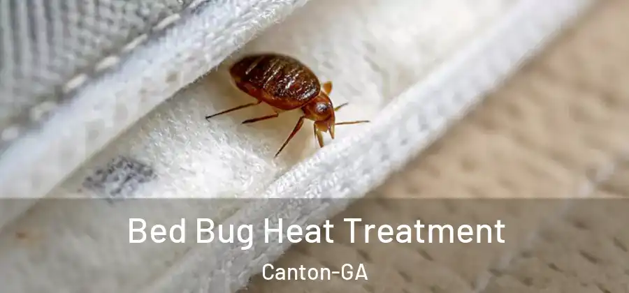 Bed Bug Heat Treatment Canton-GA