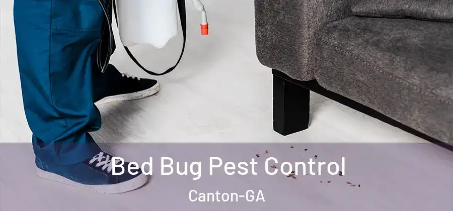  Bed Bug Pest Control Canton-GA