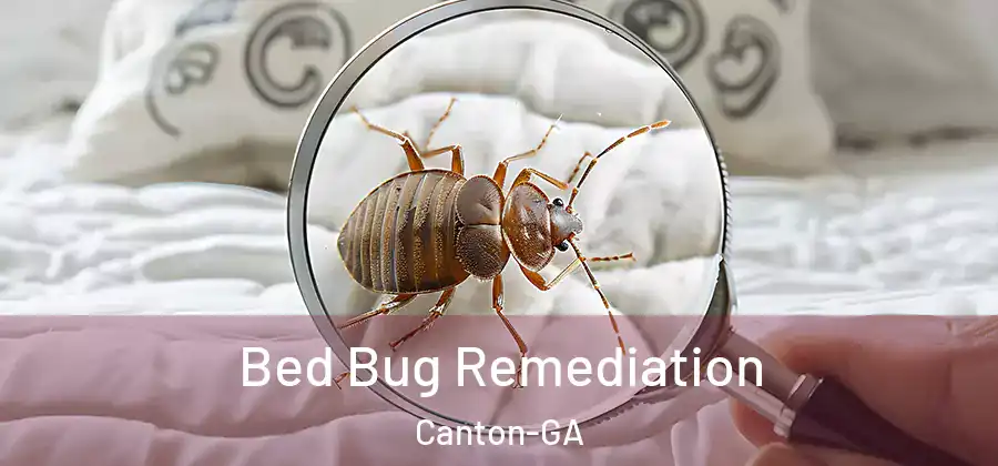  Bed Bug Remediation Canton-GA
