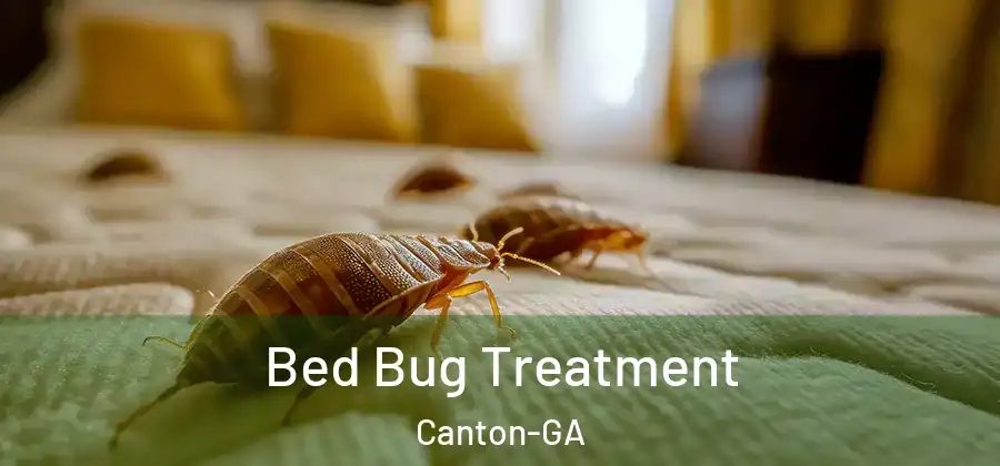  Bed Bug Treatment Canton-GA