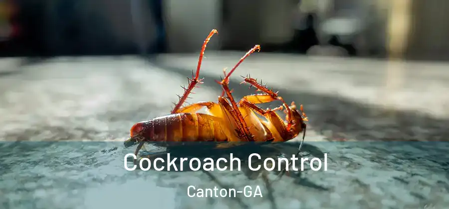 Cockroach Control Canton-GA