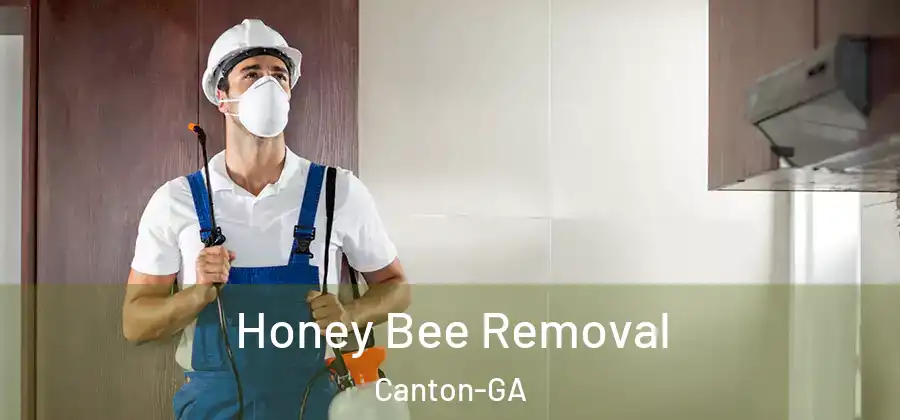 Honey Bee Removal Canton-GA
