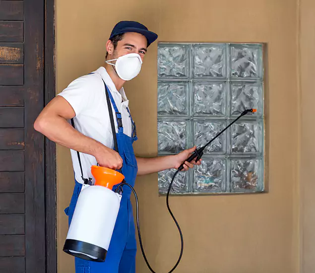 Your Reliable Pest Control in Canton, GA