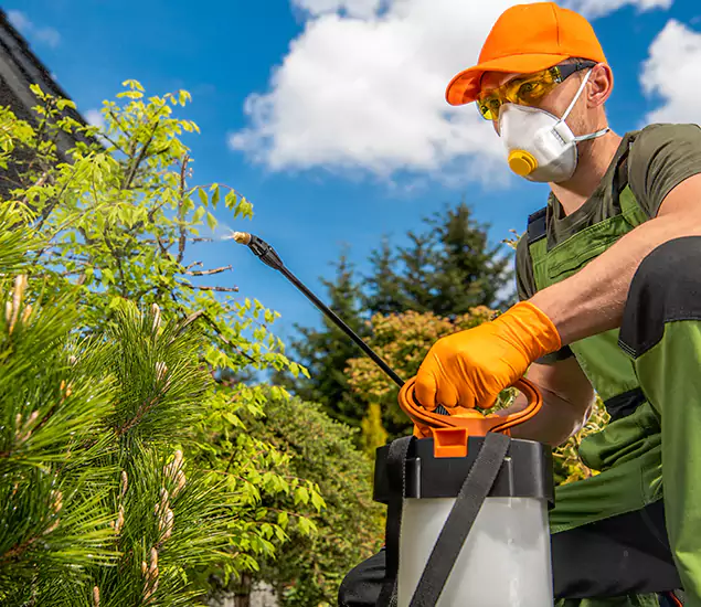 Your Best Bug Spray for Home Team in Canton, GA