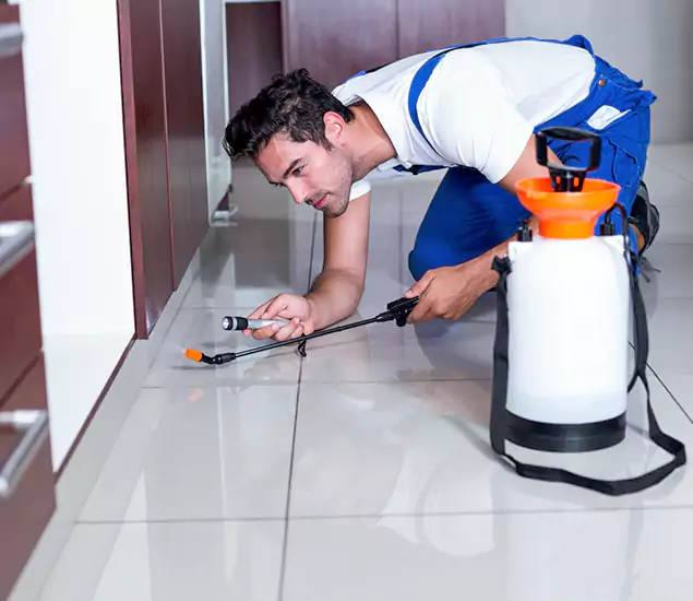 Trusted Rat Control Services Specialists in Canton, GA