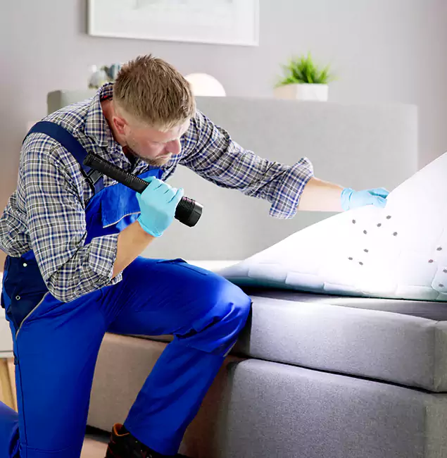 Why Choose Canton Pest Control Pro For Bed Bug Heat Treatment in Canton, GA?