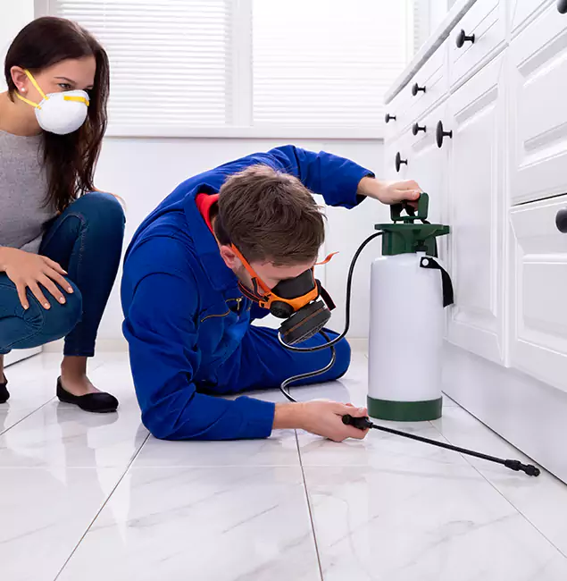 Why Canton, GA Homeowners Trust Canton Pest Control Pro for Roach Control?