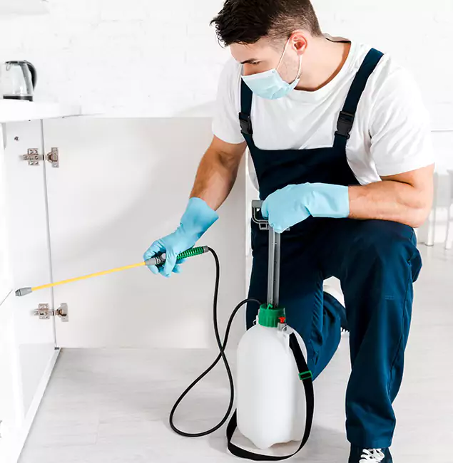 Why Choose Canton Pest Control Pro for Indoor Pest Control in Canton, GA?