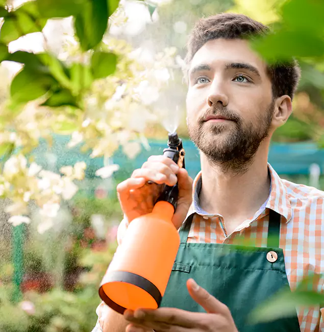 Why Canton Homeowners Call Canton Pest Control Pro for Mosquitoes in House?