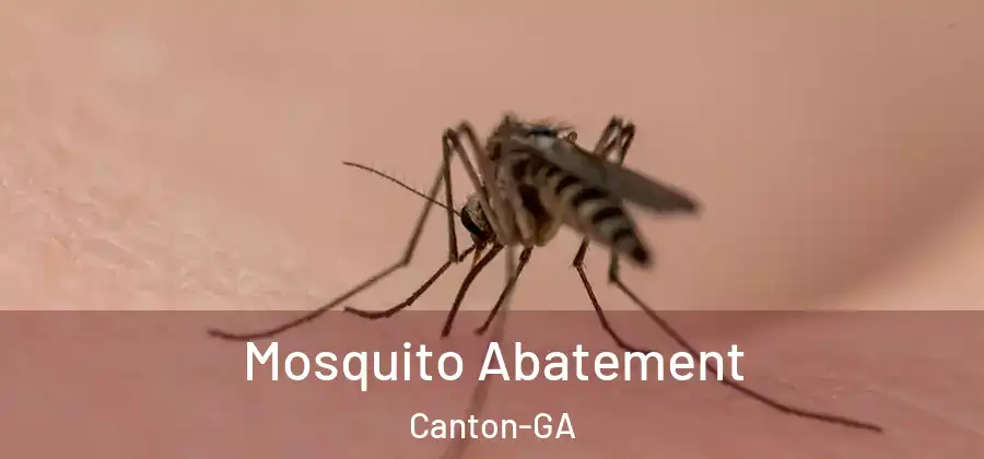 Mosquito Abatement Canton-GA