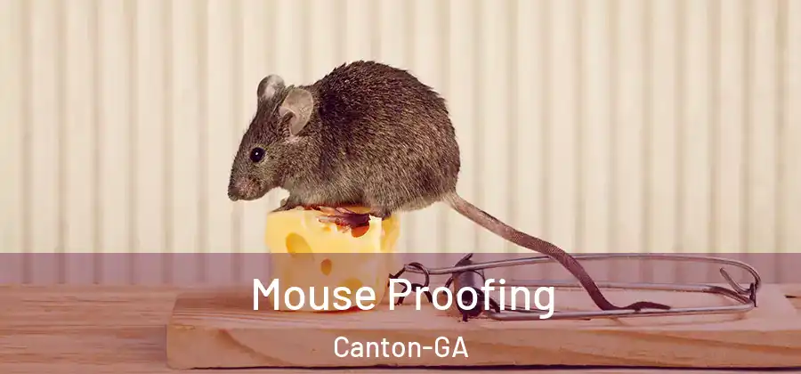 Mouse Proofing Canton-GA