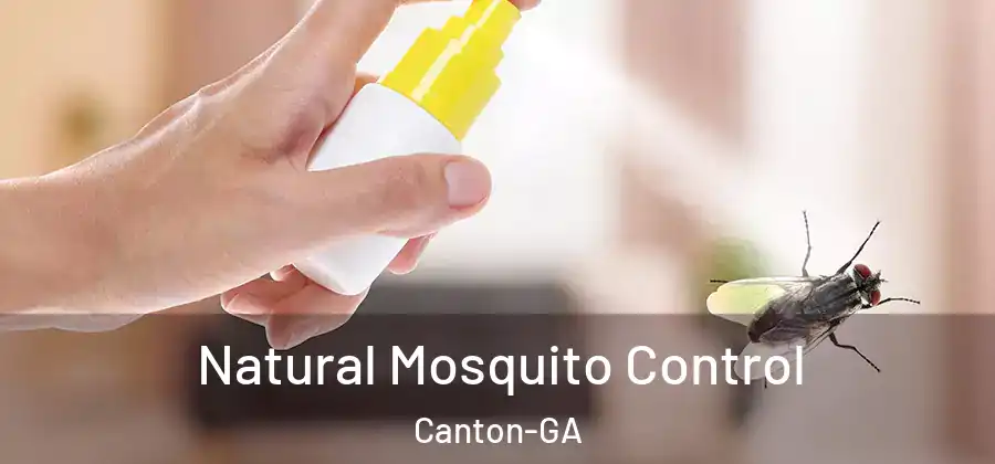 Natural Mosquito Control Canton-GA