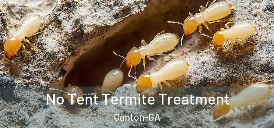 No Tent Termite Treatment Canton-GA