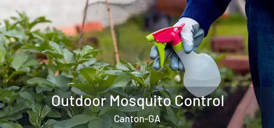 Outdoor Mosquito Control Canton-GA