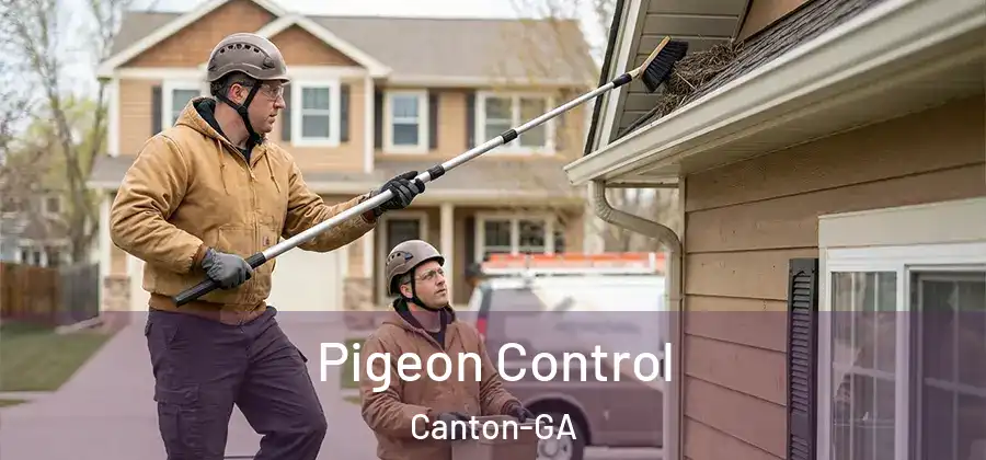  Pigeon Control Canton-GA