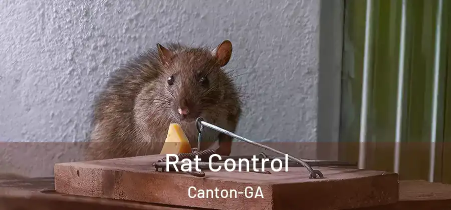 Rat Control Canton-GA