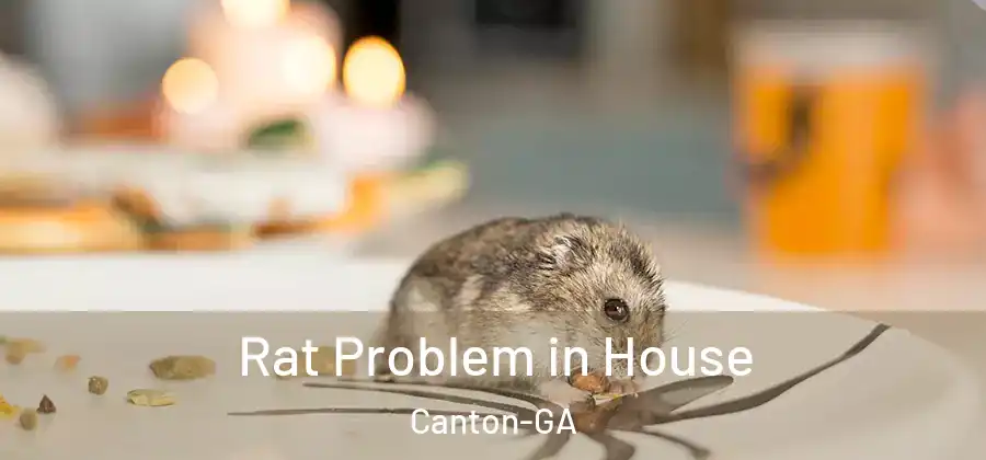 Rat Problem in House Canton-GA