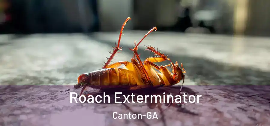 Roach Exterminator Canton-GA