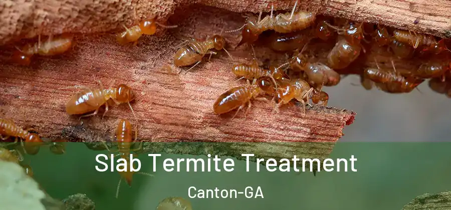 Slab Termite Treatment Canton-GA