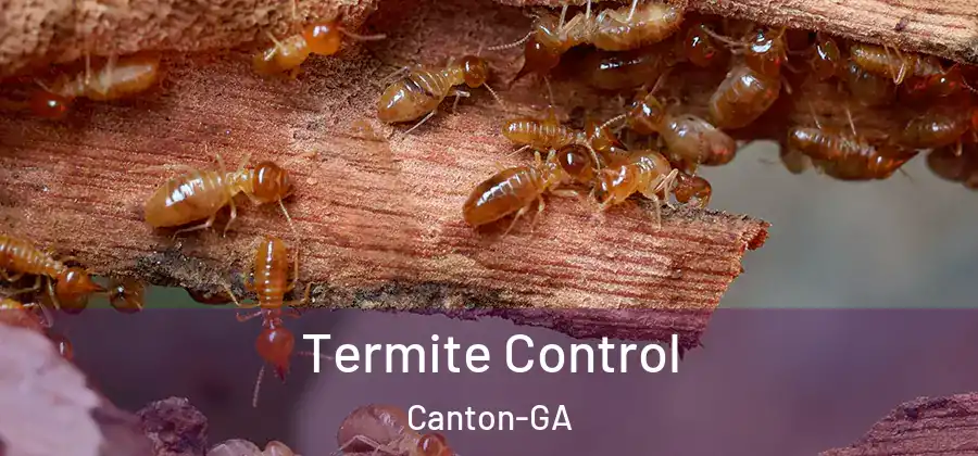 Termite Control Canton-GA