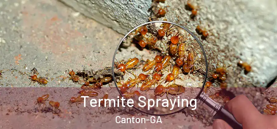  Termite Spraying Canton-GA