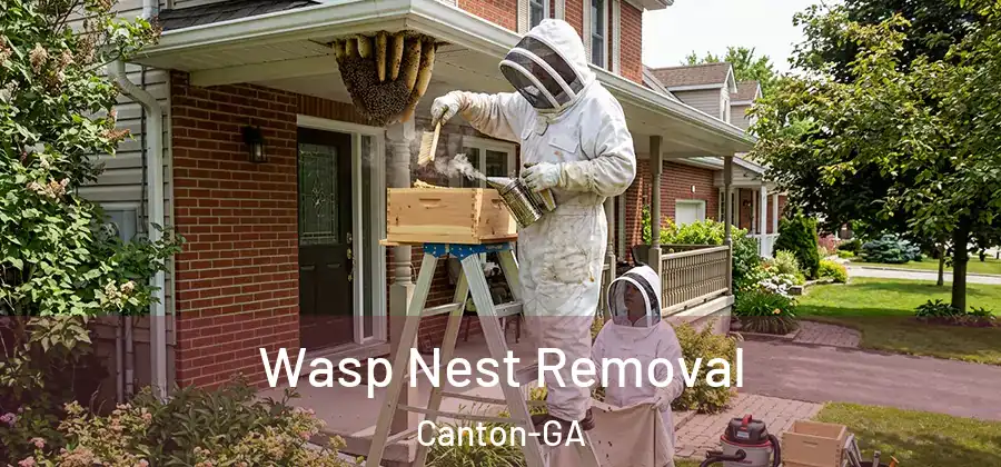 Wasp Nest Removal Canton-GA